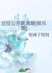 还没公开就离婚[娱乐圈]